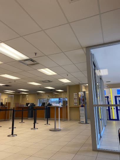 RBC Royal Bank