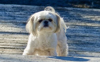 Huff Animal Hospital