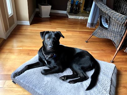 Tsawwassen Animal Hospital