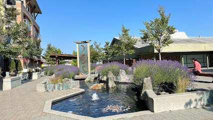 Spa Bleü