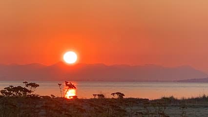 South Delta Tsawwassen Real Estate Agency eXp Realty